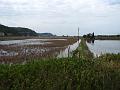 Slika_118