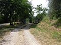 Slika_123