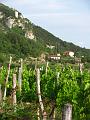 Slika_148