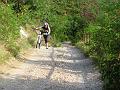 Slika_155