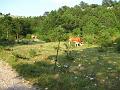 Slika_156
