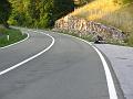 Slika_164