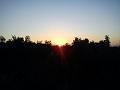 Slika_002