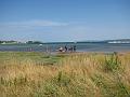 Slika_006