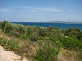 Slika_015