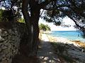 Slika_023