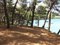 Slika_024