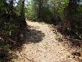 Slika_027