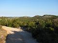 Slika_066