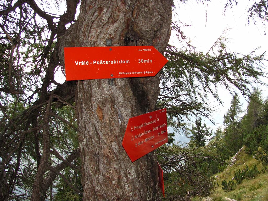 Slika_85.jpg - Še 1/2 urce in sva na Vršiču.