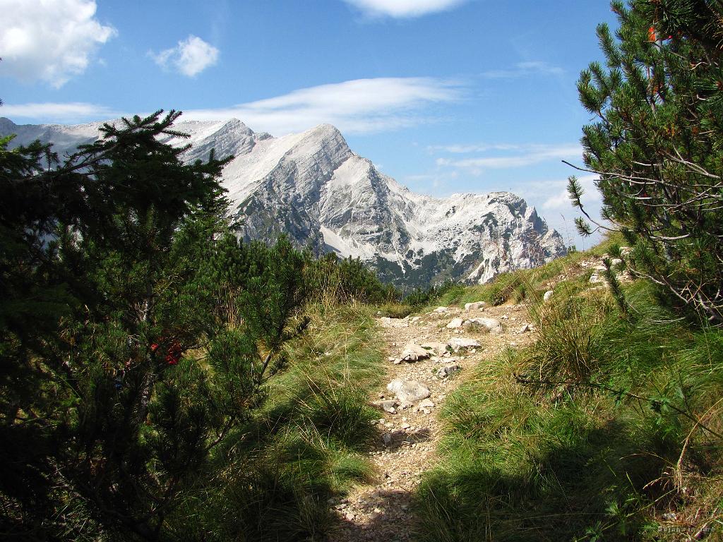 Slika_86.jpg - Na to nakazuje tudi pogled.