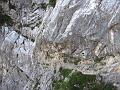 Slika_35