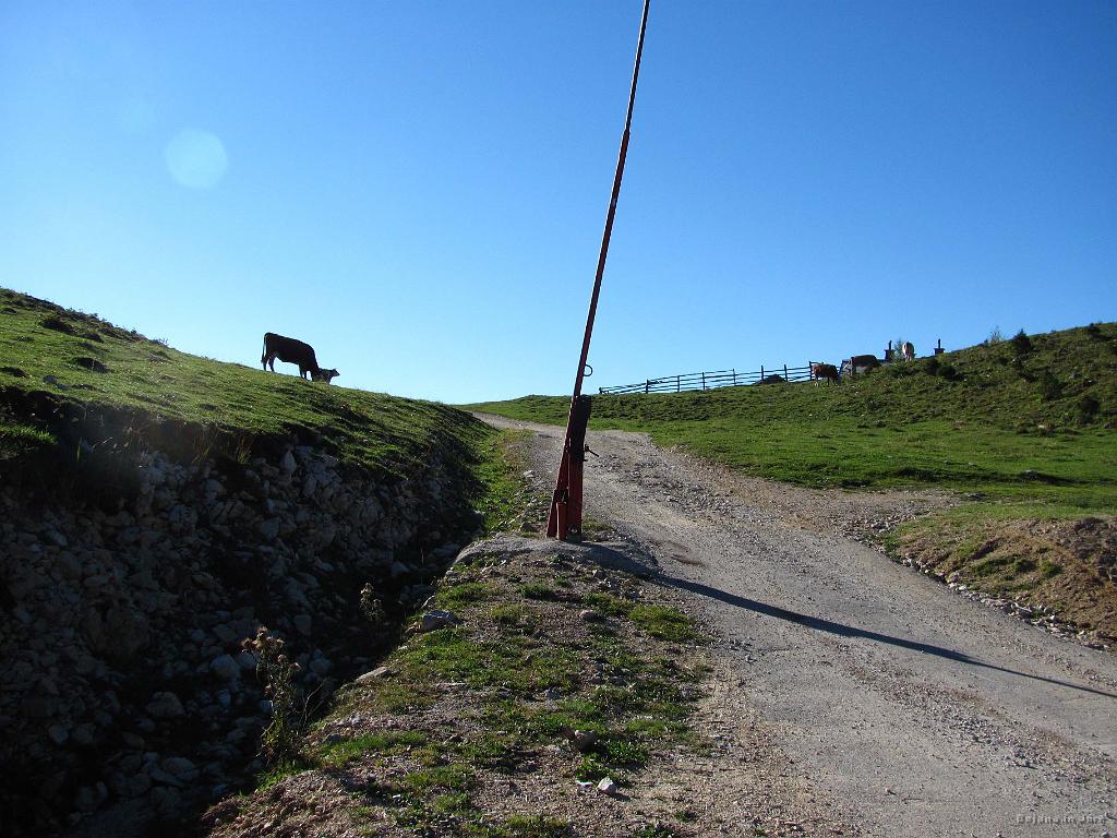 Slika_03.jpg - Vhod za planino Jezerca.
