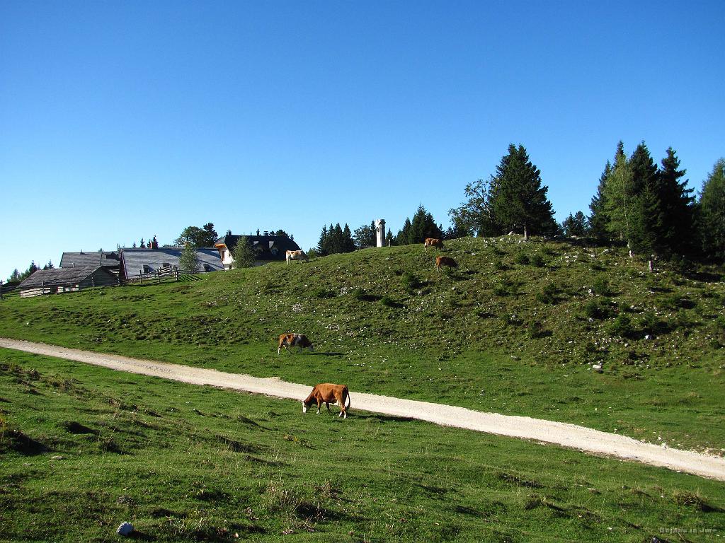 Slika_07.jpg - Po črni črtkani poti se dvigamo nad Jezerco.