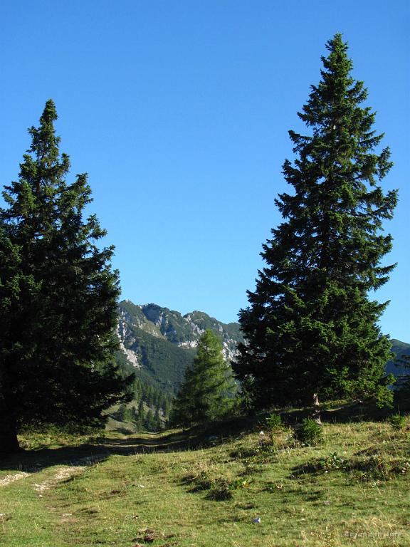 Slika_09.jpg - Smer je že prava, vendar nas je sindrom namišljenih poti prevaral. Kje smo?