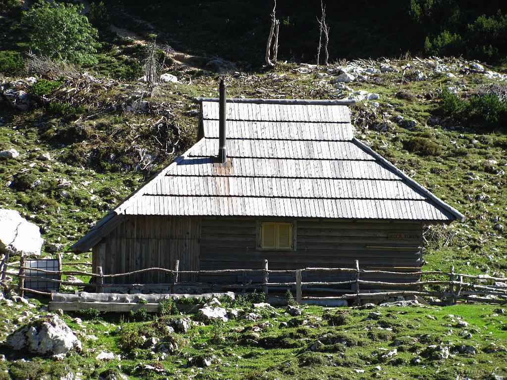 Slika_25.jpg - Kočica na planini Koren.