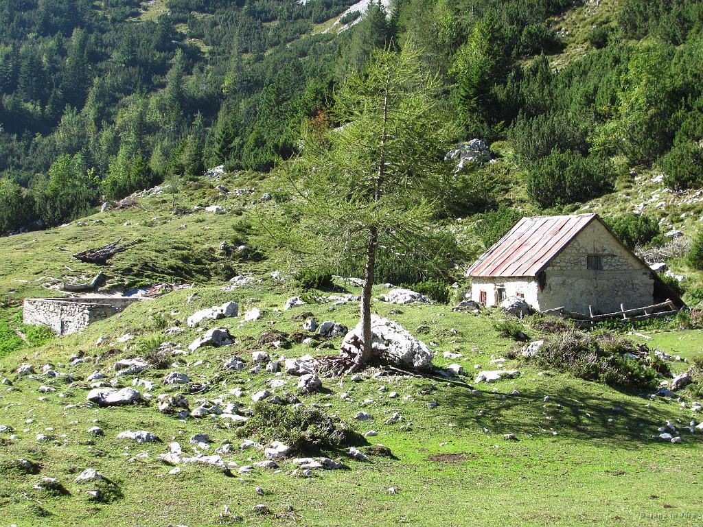 Slika_62.jpg - Planina.