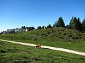 Slika_07