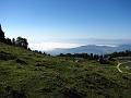 Slika_08