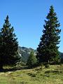 Slika_09