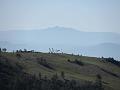 Slika_18