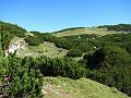 Slika_31
