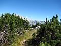 Slika_46