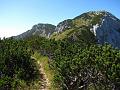 Slika_49