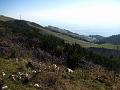 Slika_65