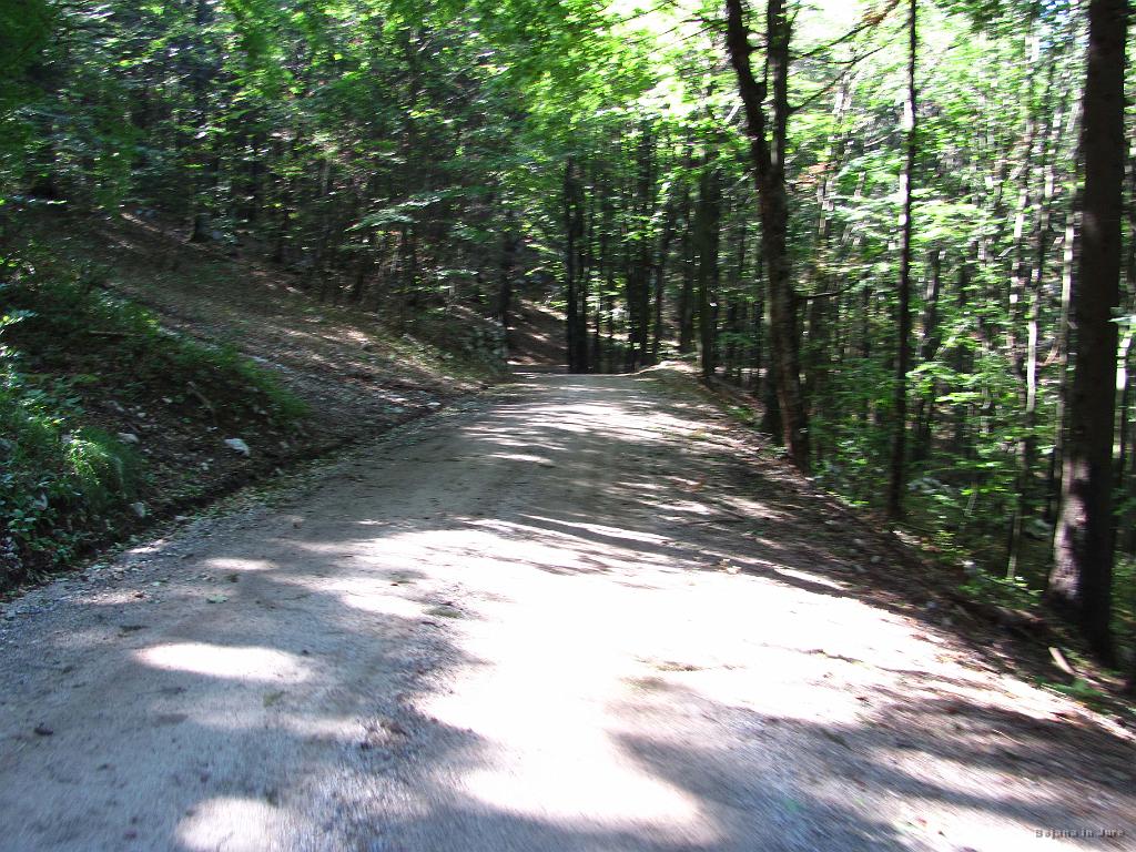 Slika_09.jpg - Lepa gor in dol gozdna cesta.