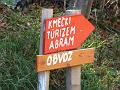 Slika_11
