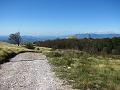 Slika_28