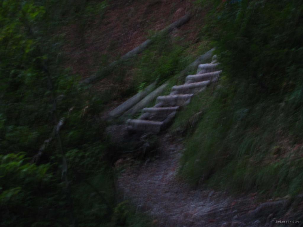 Slika_006.jpg - Dnevne svetlobe je za hojo povsem dovolj, za fotografiranje pa niti ne.