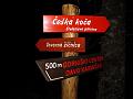 Slika_005