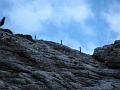 Slika_109