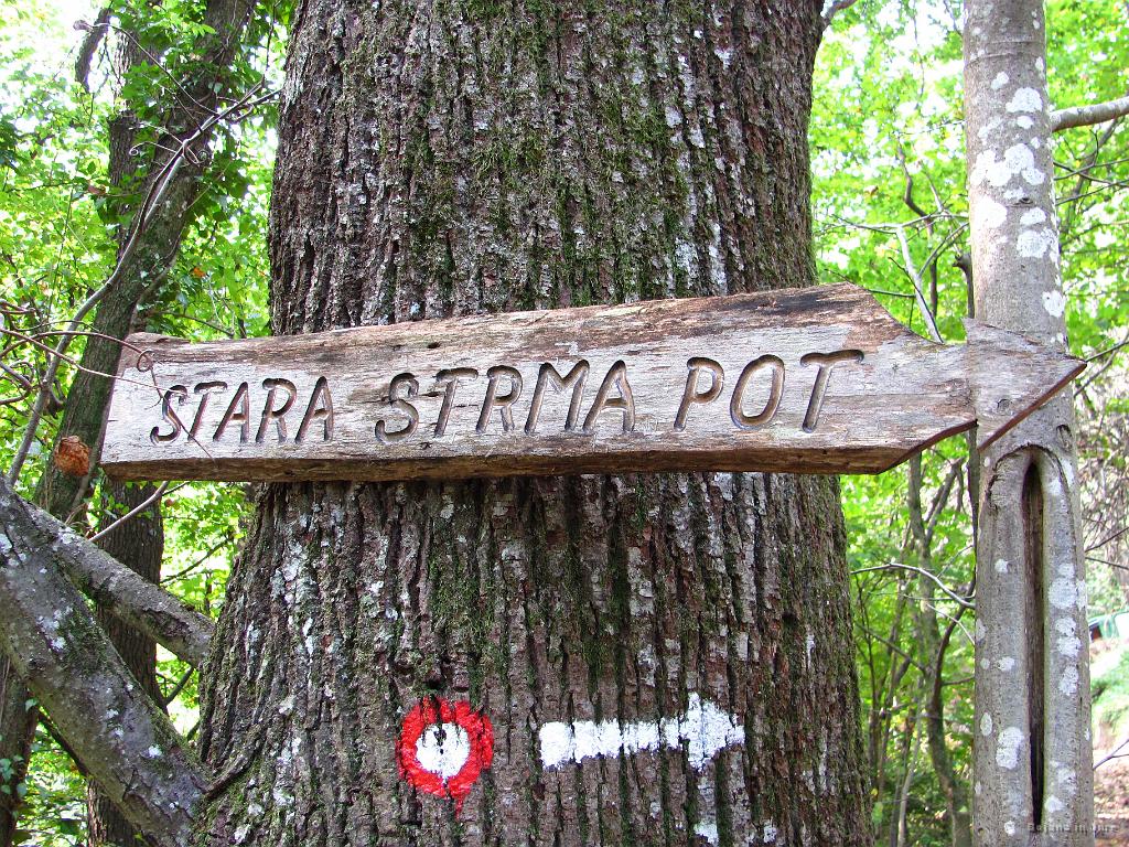 Slika_08.jpg - Napis je malce zavajajoč. Morda obstaja tudi nova strma pot? :)