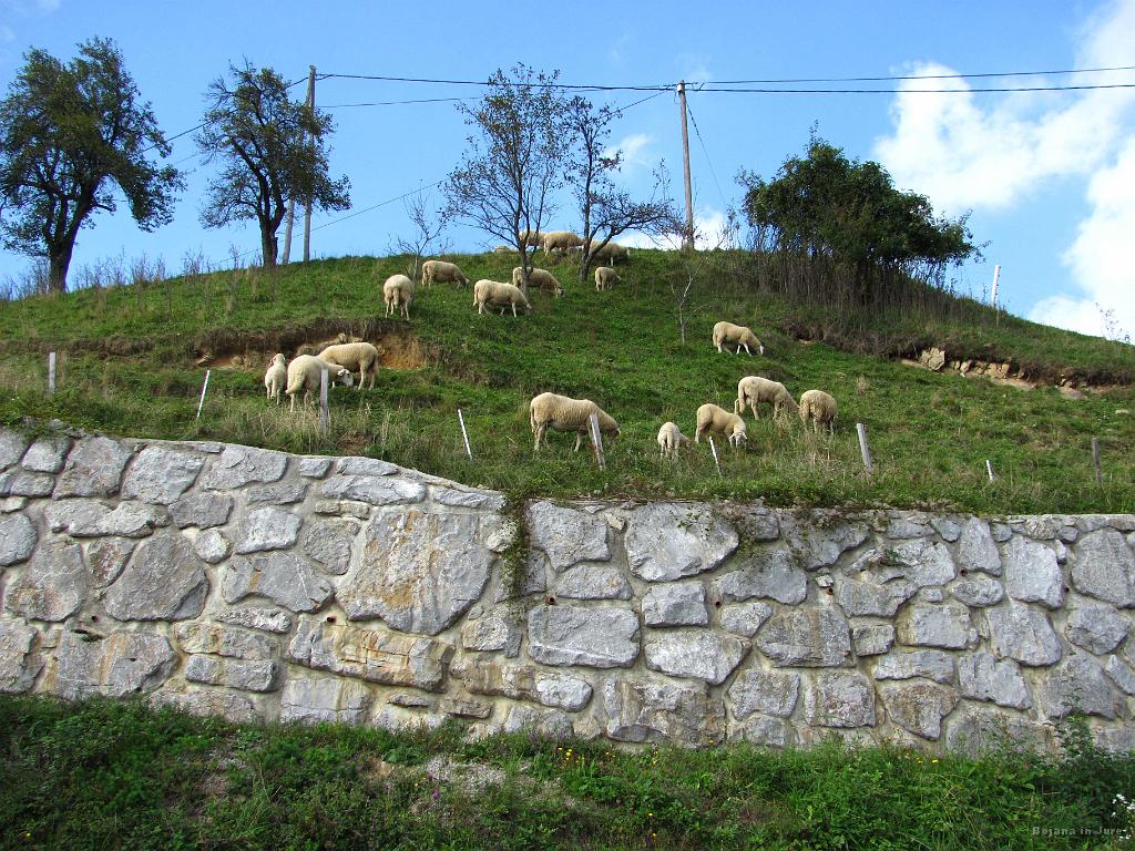 Slika_13.jpg - Čas kosila.