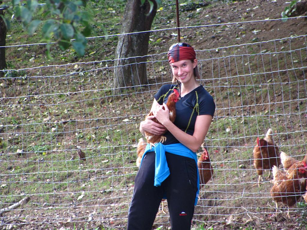 Slika_28.jpg - Pri ogradi za kokoši je Bojana opazila v bližnjem grmovju kuro, ki je zbežala iz "zapora". Ker je ta kura pričela kokodakati tudi po cesti, jo je zaščitnica kur Bojana ujela in vrgla čez ograjo nazaj med njene kolegice. Pri tem dejanju jo je z zanimanjem opazovala majhna punčka, ob njej pa ponosni oče Franci Kek. Ja, kako majhen je svet.