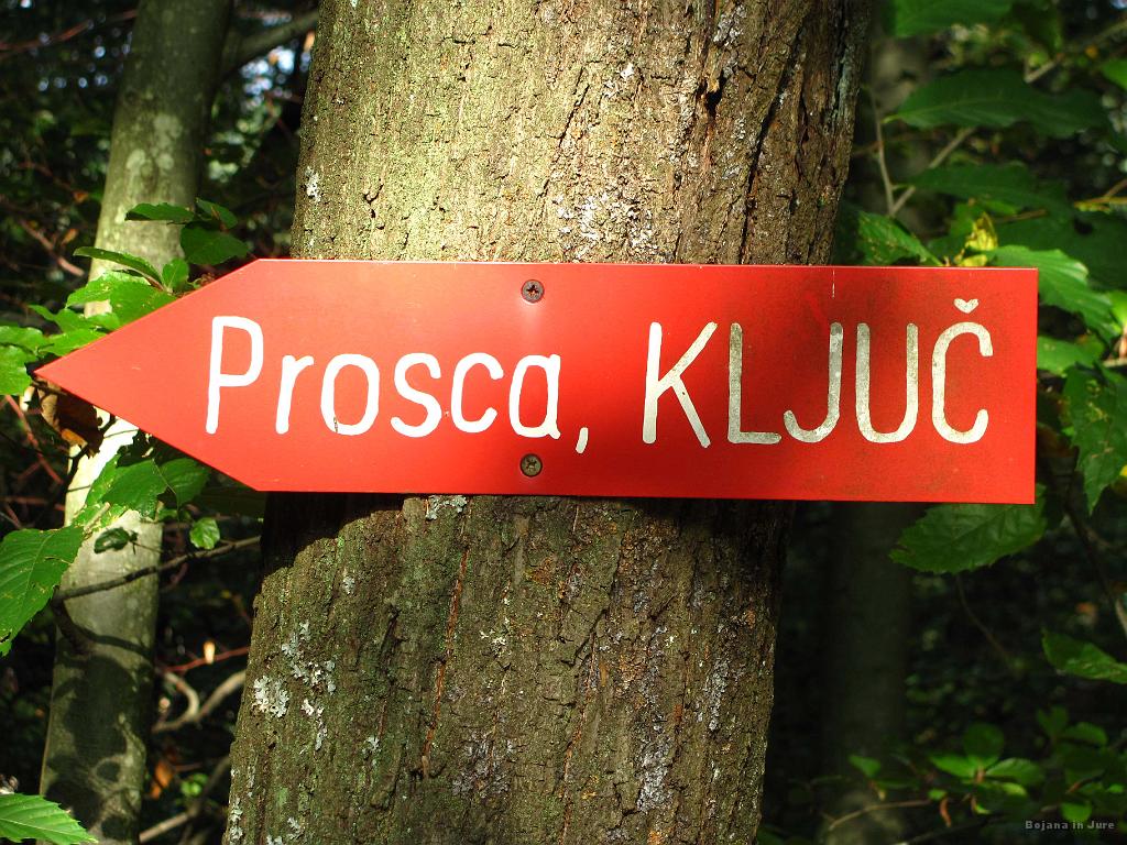 Slika_36.jpg - Držala sva se te smeri, seveda samo do prej omenjene ceste, kjer pa sva naprej sledila oznakam za sv. Urh.