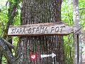 Slika_08