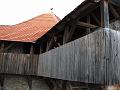 Slika_43