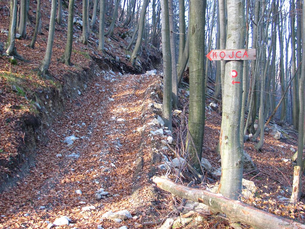 Slika_03.jpg - Tudi sam že dolgo nisem obiskal Kojce (31.10.2009), zato me je smerokaz presenetil, saj sem običajno šel še naprej po poti. Ja, gremo pa levo. Priznati moram, da je nov del poti boljši, saj je veliko manj blata. Sem pa ob pregledu slik za nazaj ugotovil, da sem tu 3 leta nazaj šel, kljub nemarkiranosti :)