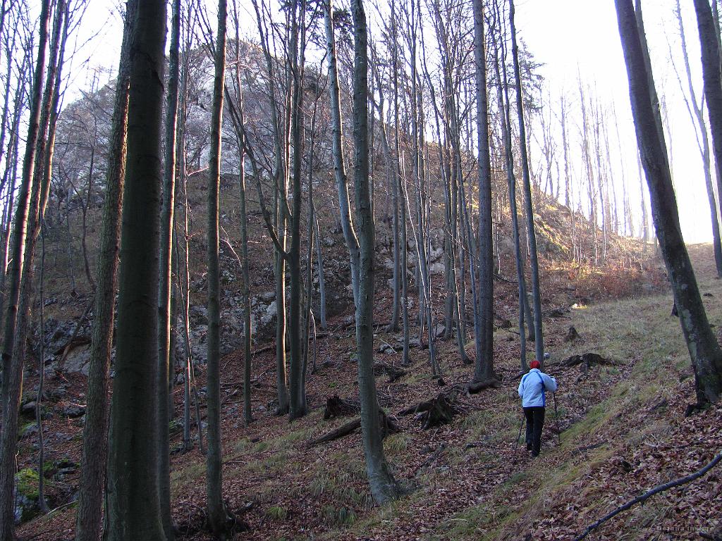 Slika_05.jpg - Ko se sprehajava po novi poti, Bojana uzre neimenovan vrh nad nama in odločila sva se, da greva pogledat. Zavijemo pa levo z markiranem poti do sedelca in nato po grebenčku na njegov vrh. Od tu pa zgleda zelo strm.