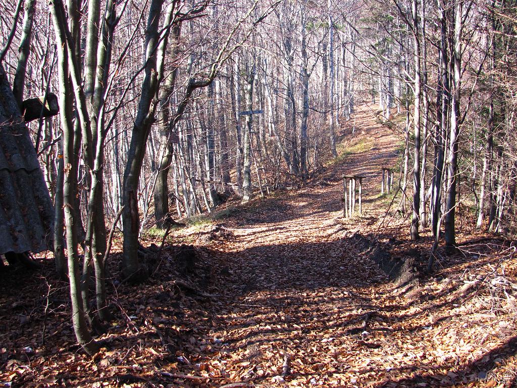 Slika_11.jpg - To pa je očitno prelomna točka, saj je "plac" za počivanje in ravno na 1000 m. Tudi neke vrste razpotje.