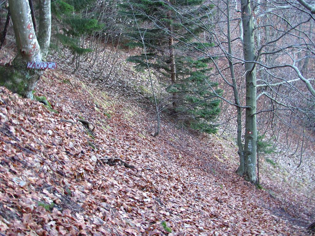 Slika_34.jpg - Sledi strm spust po gladkem terenu.
