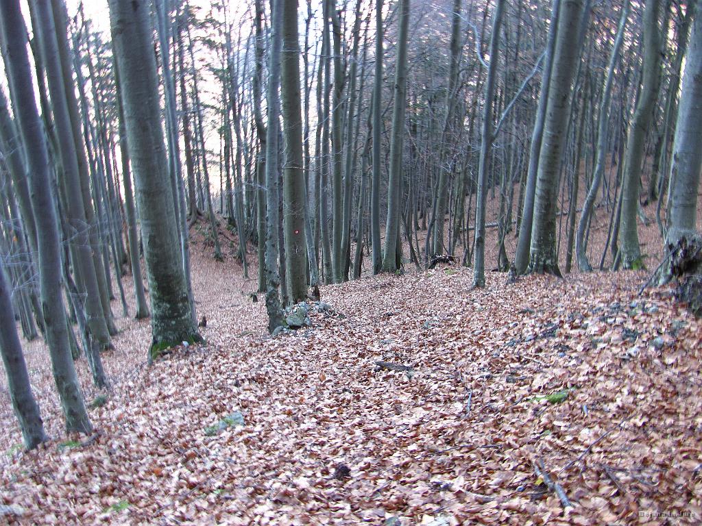 Slika_36.jpg - Pazljivost, da ne škripne kakšna kost.