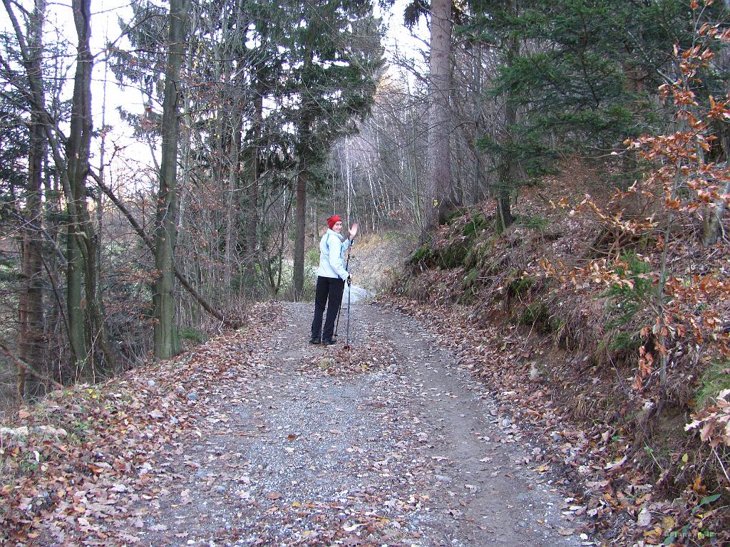Slika_38.jpg - Po gozdni cesti na Vrh Ravni. Navzgor nisem šel še nikoli (Bojana pa tudi ne), edino s kolesom navzdol pa že velikokrat.