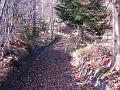 Slika_02