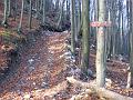 Slika_03
