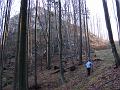 Slika_05